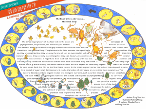 Microbial loop