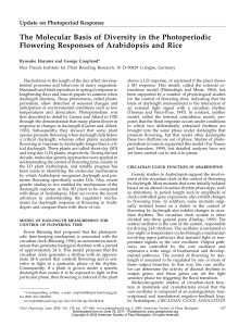 The Molecular Basis of Diversity in the