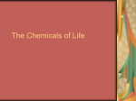 The Chemicals of Life