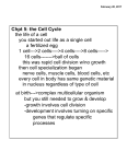 Cell cycle - Csolakbiology