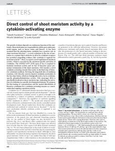 Direct control of shoot meristem activity by a cytokinin