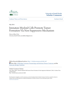 Immature Myeloid Cells Promote Tumor Formation Via Non