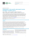 Biogeography of thermophilic phototrophic