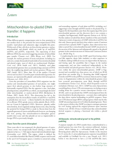 Mitochondriontoplastid DNA transfer: it happens