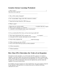 Genetics Science Learning Worksheet How Does DNA Determine