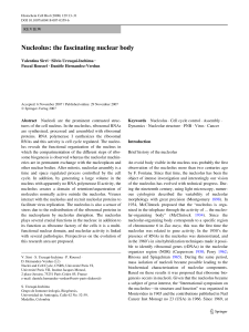 Nucleolus: the fascinating nuclear body