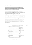 The mechanism of monosaccharide absorption by intestinal
