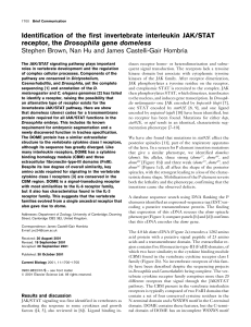 Identification of the first invertebrate interleukin