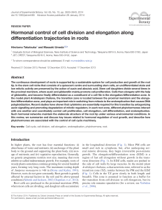 Hormonal control of cell division and elongation