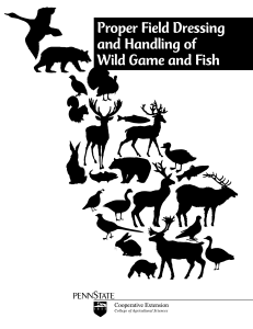 Proper Field Dressing and Handling of Wild Game and Fish