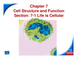 Chapter 7 Cell Structure and Function Section: 7-1 Life