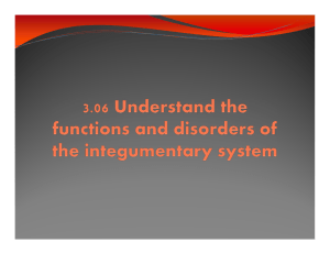 HSI 3.06 functions disorders of integumentary system