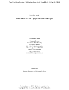 Divergent roles for the two PolI-like organelle DNA polymerases of