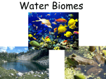 Water Biomes