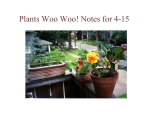 Plants Woo Woo! Notes for 4-15