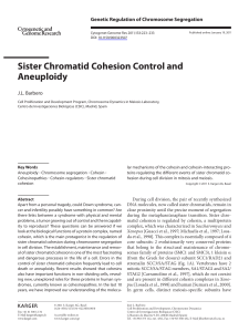 Sister Chromatid Cohesion Control and Aneuploidy