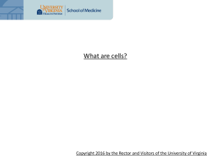What are cells? - UVA Cancer Center