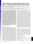 Nuclear ribosomal internal transcribed spacer (ITS) region as