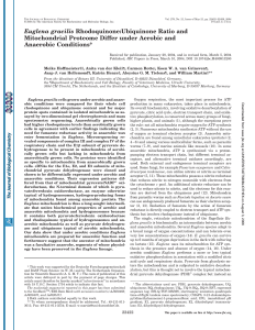 Euglena gracilis Rhodoquinone:Ubiquinone Ratio and