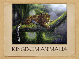 SATP-2 KINGDOM ANIMALIA part 3