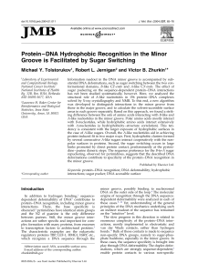 Protein–DNA Hydrophobic Recognition in the Minor Groove