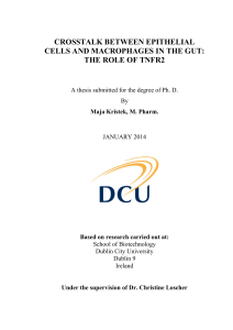 crosstalk between epithelial cells and macrophages - DORAS