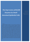 The Expression of RALDH Enzymes by Small Intestinal Epithelial Cells