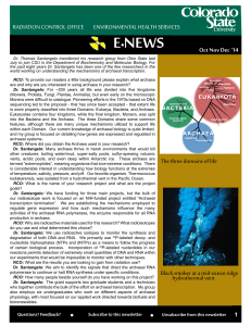 E NEWS -