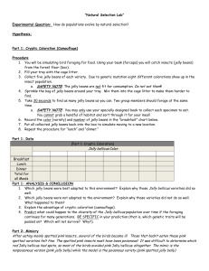 Jelly Bellicus Natural Selection Lab