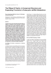 The RNase III Family: A Conserved Structure and Expanding