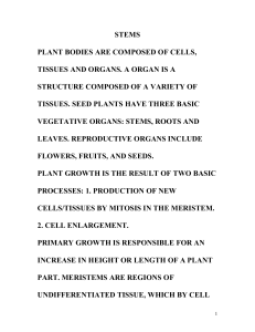 STEMS PLANT BODIES ARE COMPOSED OF CELLS, TISSUES