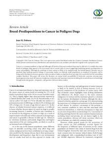 Breed-Predispositions to Cancer in Pedigree Dogs