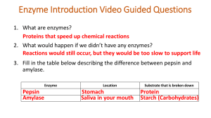 enzymes 2016