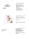 Cell grouping