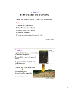 Lecture 13 Soil Formation and Chemistry