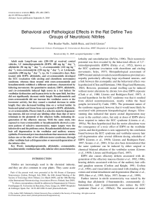 Behavioral and Pathological Effects in the Rat