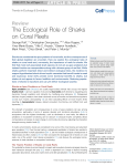 The Ecological Role of Sharks on Coral Reefs