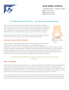 Cat Behavior and Training - Cat Neutering and Behavior