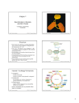 Chapter 7 Overview Genetic “exchange”in bacteria