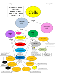 CONCEPT MAP OF THE STRUCTURES AND FUNCTIONS OF CELLS