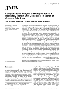 Comprehensive Analysis of Hyrdrogen Bonds in Regulatory Protein