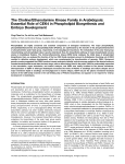 The Choline/Ethanolamine Kinase Family in