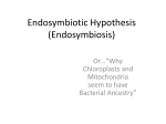 Endosymbiotic Hypothesis (Endosymbiosis)