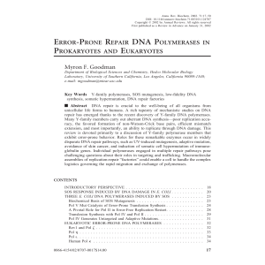 ERROR-PRONE REPAIR DNA POLYMERASES IN PROKARYOTES