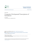 Comparative Developmental Transcriptomics of Echinoderms