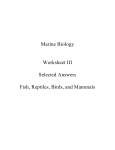 Marine Biology Worksheet III Selected Answers Fish, Reptiles, Birds