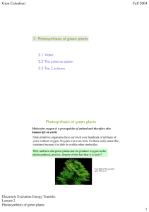 2. Photosynthesis of green plants Photosynthesis of