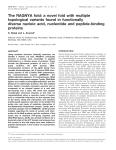 The RAGNYA fold: a novel fold with multiple topological variants