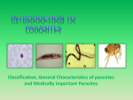Introduction to Parasites: Classification, General Characteristics of