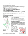 asgn2a -- NERVOUS SYSTEM - Indiana University Bloomington